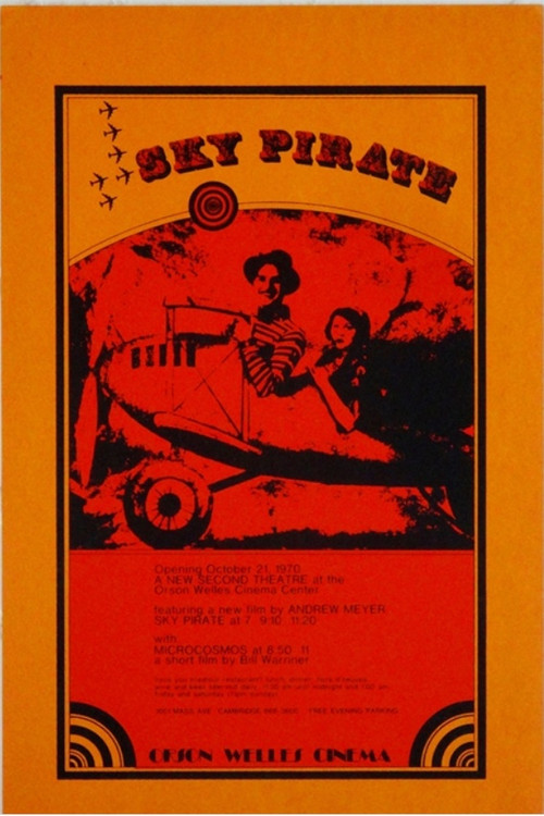 The Sky Pirate (1969) poster