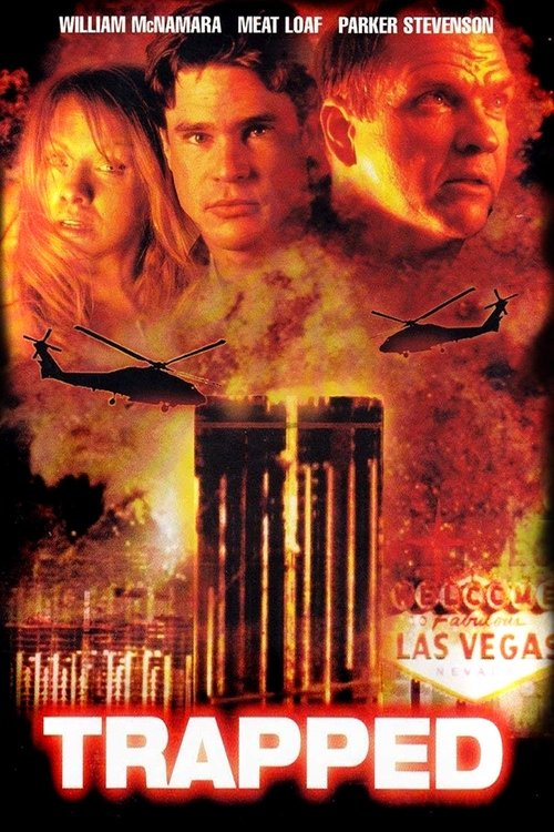 Tuzak (2001) poster