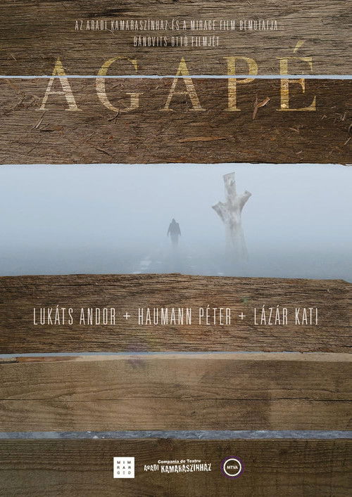 Agapé (2014) poster