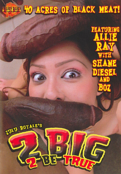 2 Big 2 Be True (2006) poster