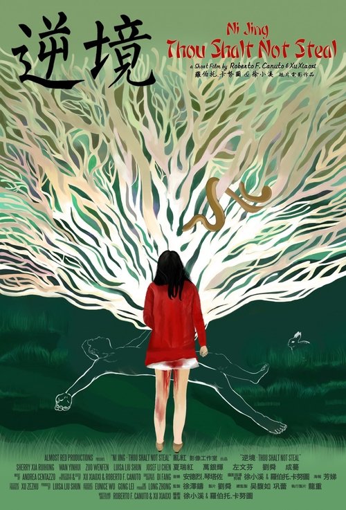 Ni Jing: Thou Shalt Not Steal (2013) poster