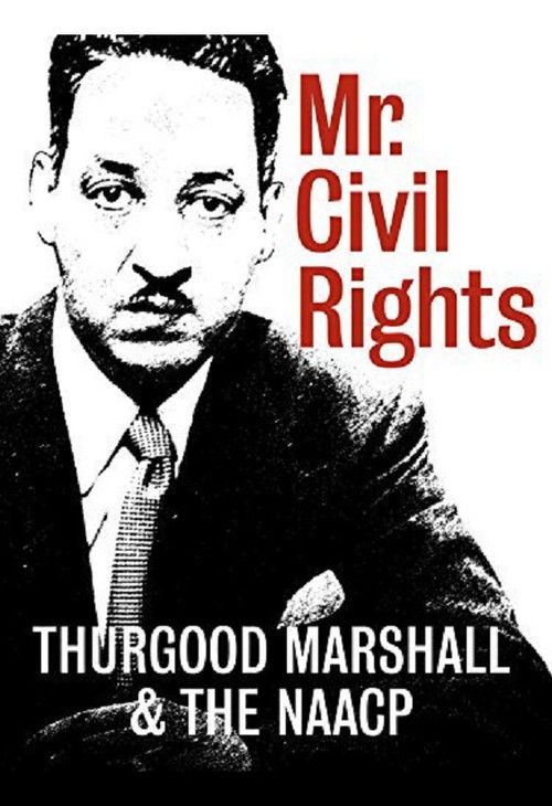 Mr. Civil Rights: Thurgood Marshall and the NAACP (2014) poster
