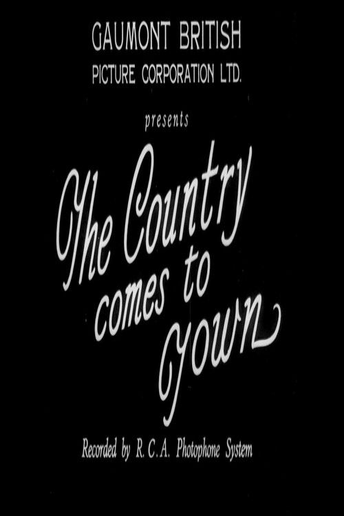 The Country Comes to Town (1933) poster