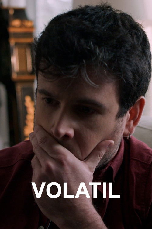 Volátil (2021) poster