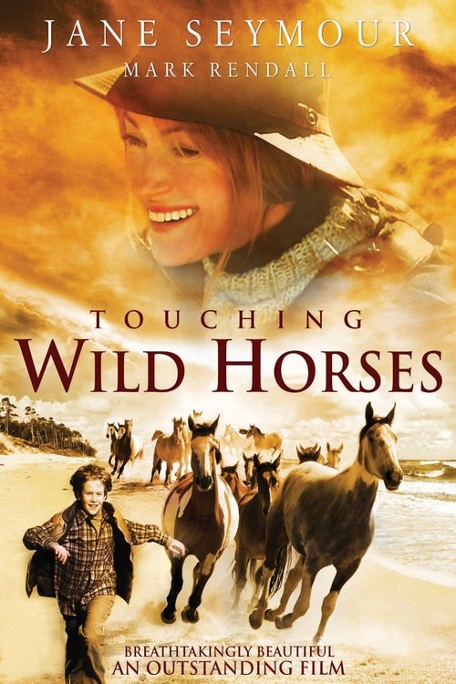 Touching Wild Horses (2011) poster