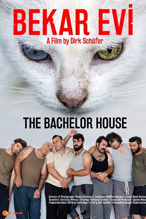 The Bachelor House (2019) poster