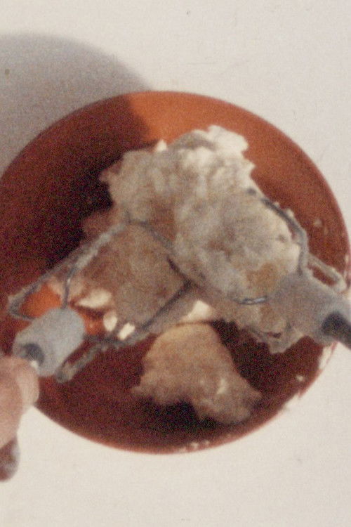 Der Sadist schlägt das eindeutig Unschuldige (1971) poster