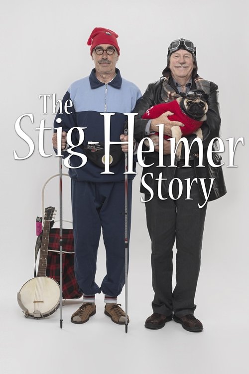 The Stig-Helmer Story (2011) poster