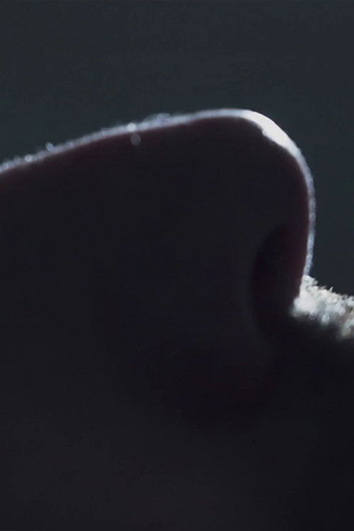 El temblor (2026) poster