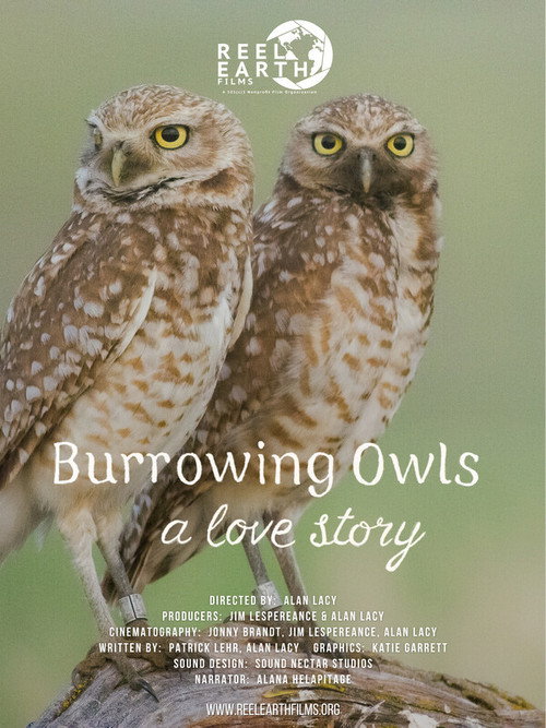 Burrowing Owls: A Love Story (2025) poster