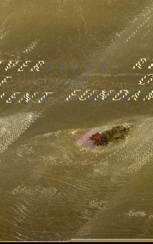 River of Fundament (2014) poster