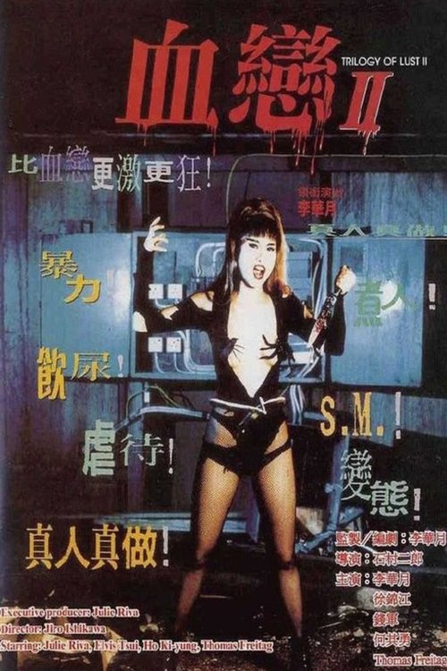 血戀II (1996) poster