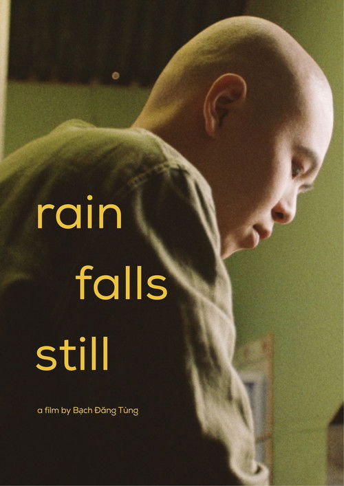 Rain Falls Still (2025) poster
