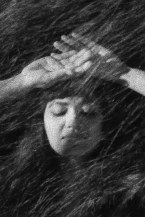 Studie V: Växelspel (1955) poster