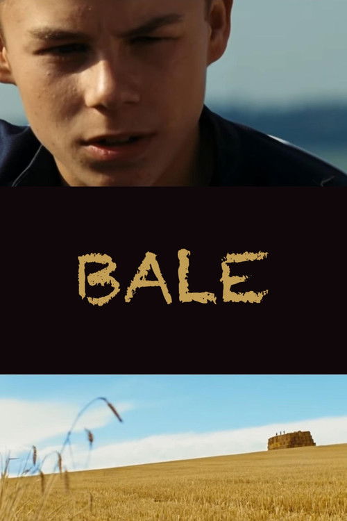 Bale (2009) poster