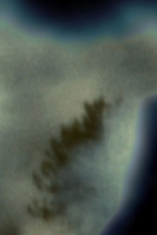 Per una selva oscura (2023) poster