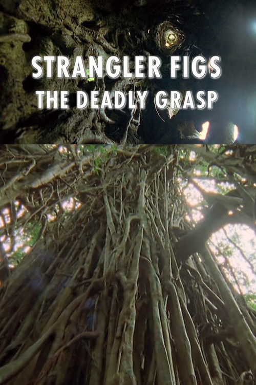 Strangler Figs: The Deadly Grasp (2000) poster