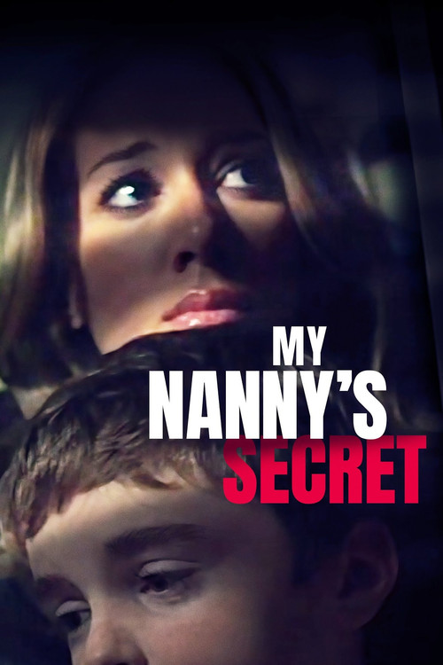 My Nanny's Secret (2009) poster