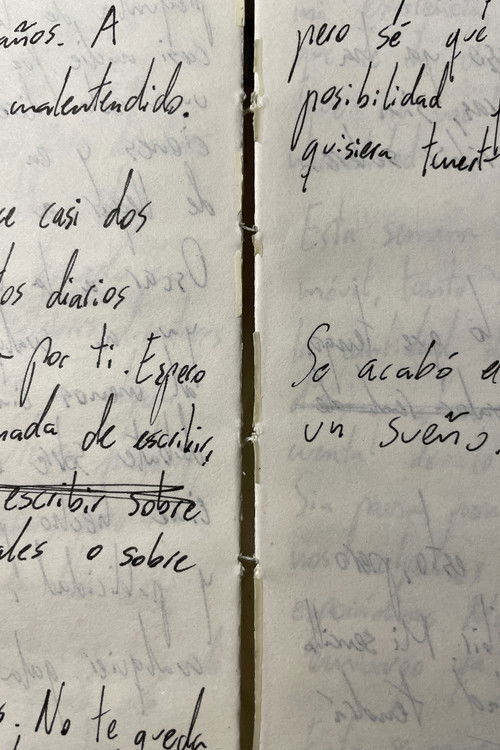 Releyendo mi diario (Autorretrato) (2022) poster