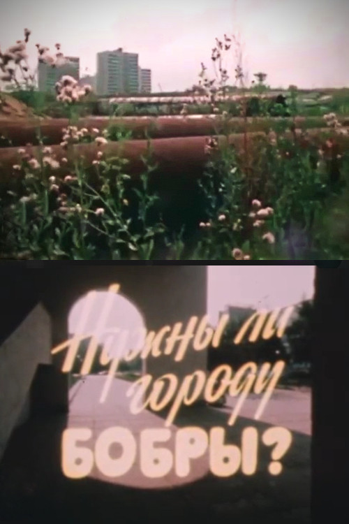 Нужны ли городу бобры? (1983) poster