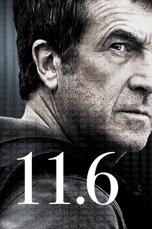 11.6 (2013) poster