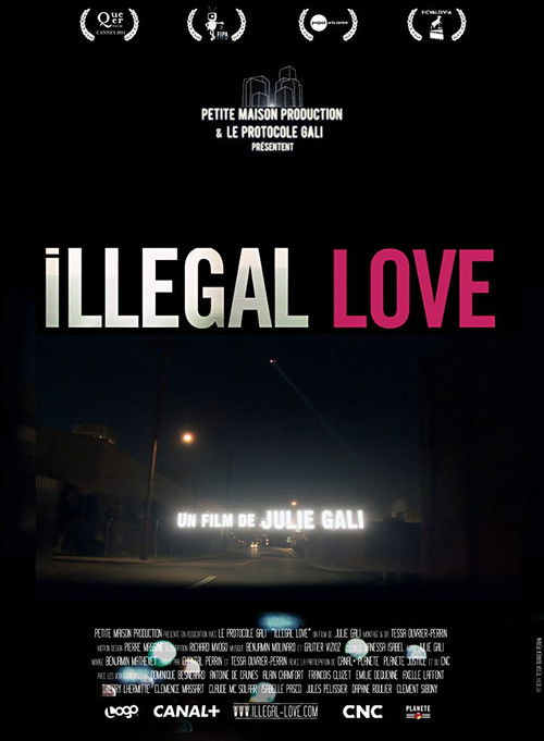 Illegal Love (2011) poster
