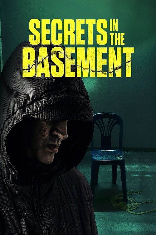 Secrets in the Basement (2020) poster