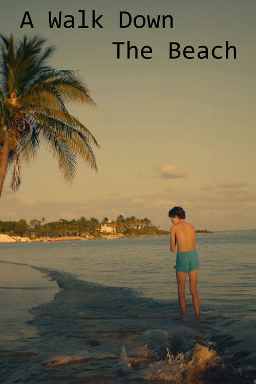 A Walk Down The Beach poster