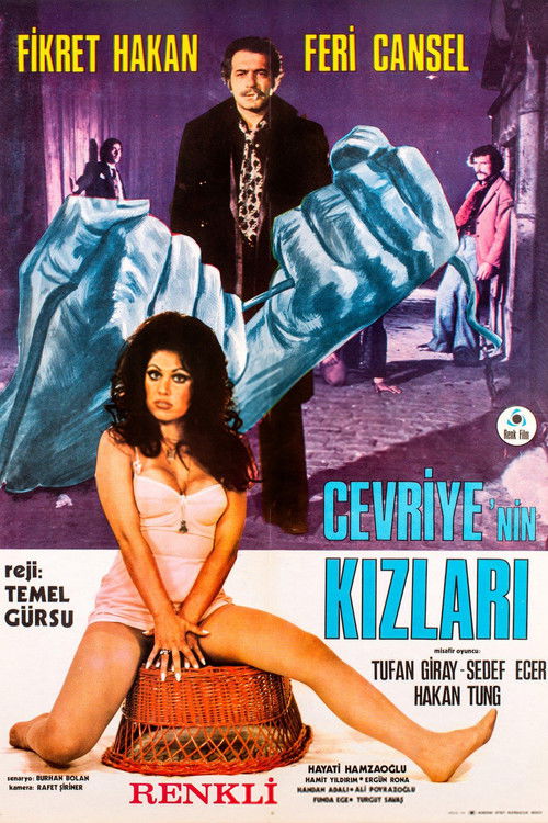 Cevriye'nin Kızları (1972) poster
