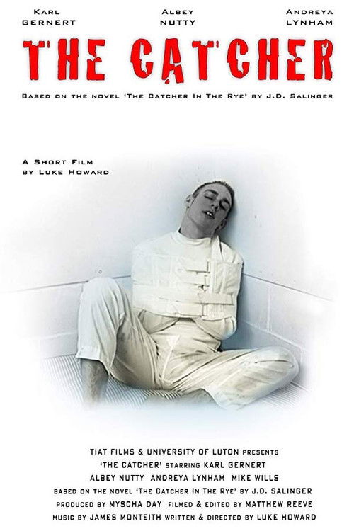 The Catcher (2001) poster