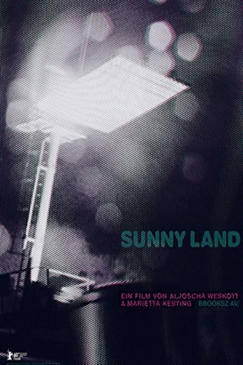 Sunny Land (2010) poster