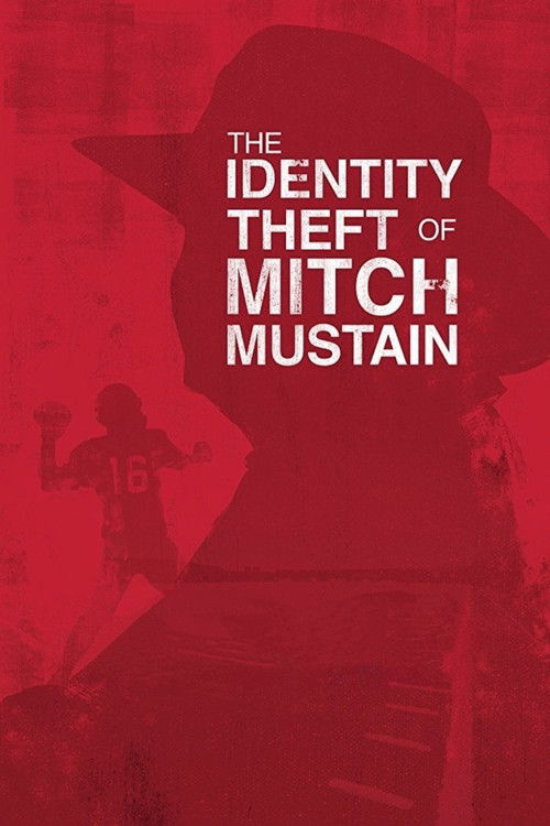 The Identity Theft of Mitch Mustain (2013) poster