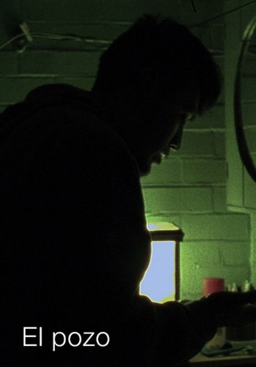 El pozo (2016) poster