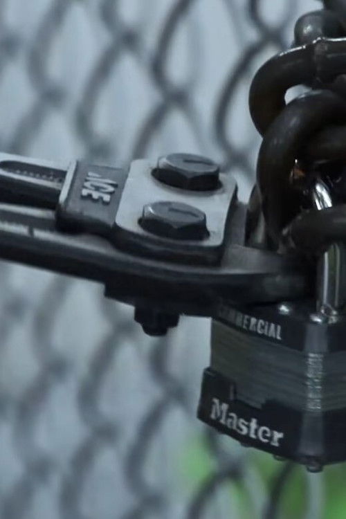 The Skatepark On Treasure Island (2021) poster