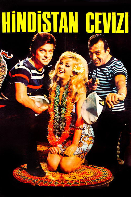 Hindistan Cevizi (1967) poster
