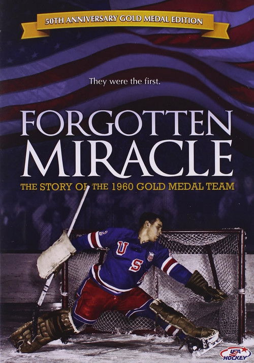 Forgotten Miracle (2009) poster