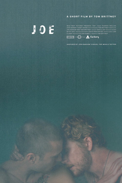 Joe (2025) poster