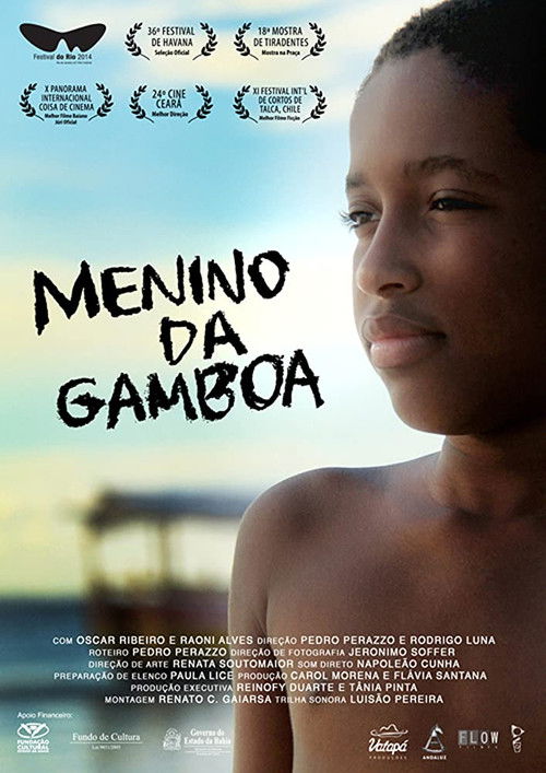 Menino da Gamboa (2014) poster