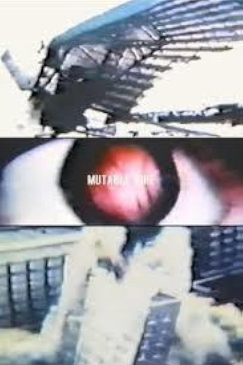 Mutable Fire (1984) poster