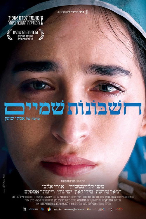 חשבונות שמיים (2025) poster