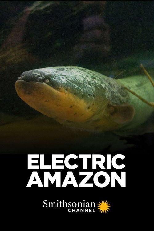 Electric Amazon (2015) poster