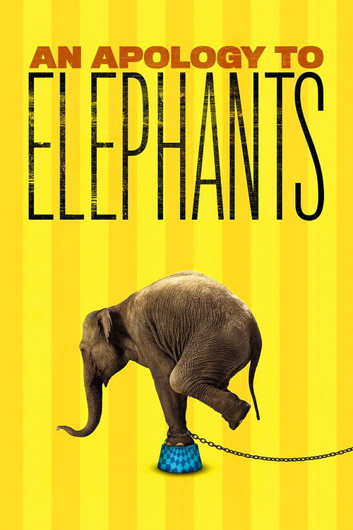 An Apology to Elephants (2013) poster