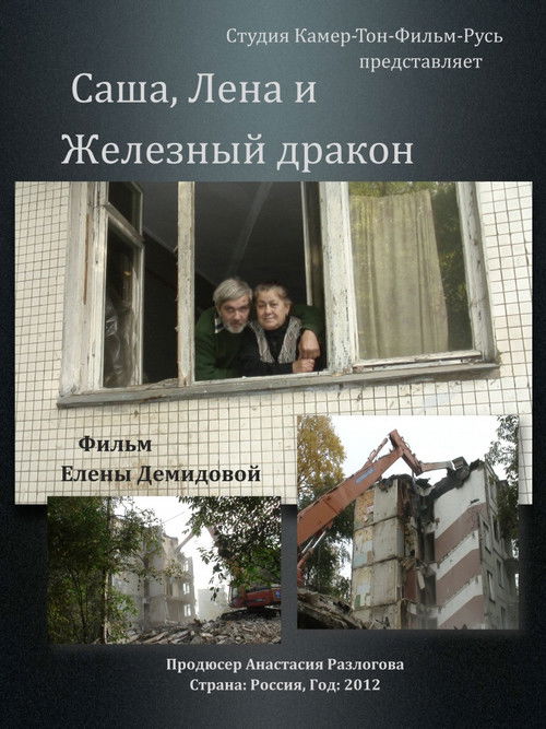 Саша, Лена и Железный Дракон (2012) poster