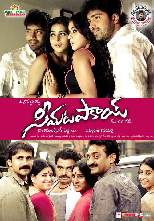 సీమ టపాకాయ్ (2011) poster