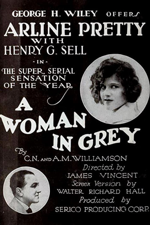 A Woman in Grey (1920) poster