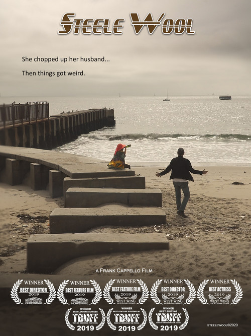 Steele Wool (2019) poster