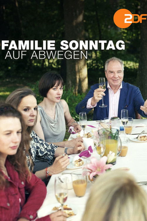 Familie Sonntag auf Abwegen (2013) poster