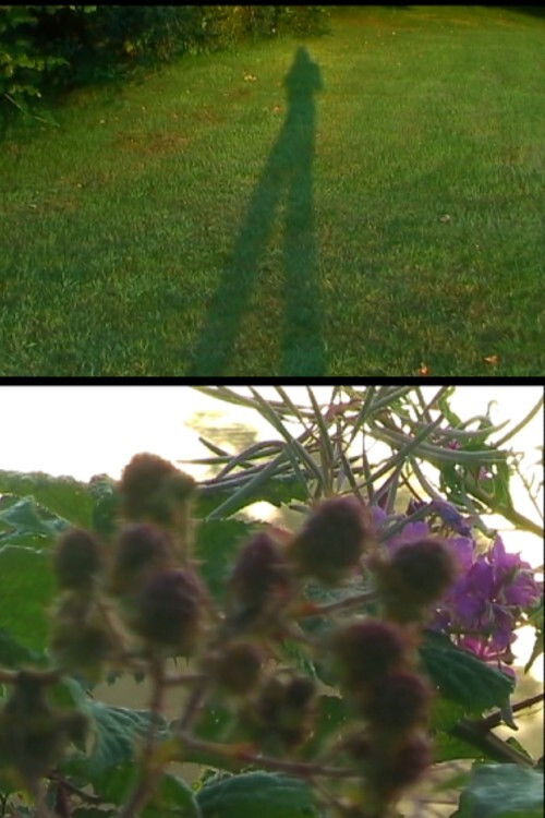 Revisiting (2019) poster