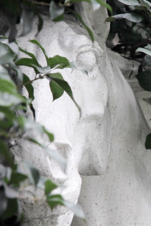 The Courser (2018) poster