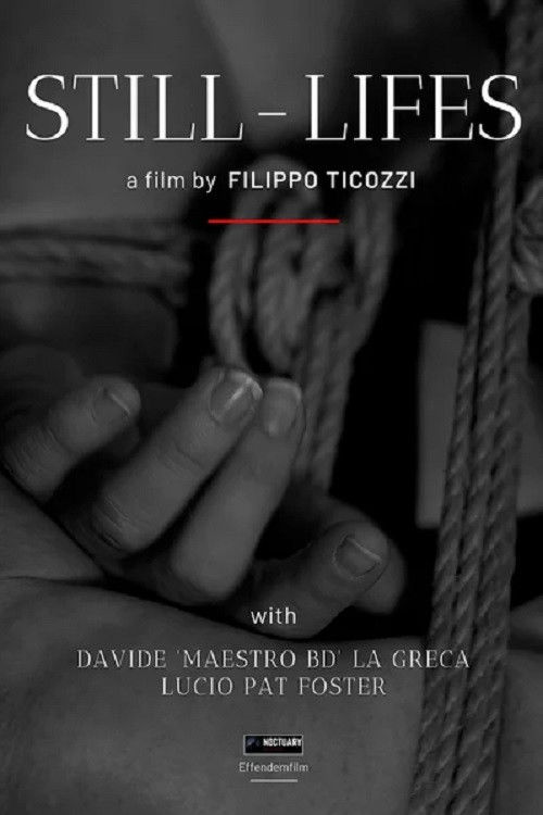 Still-Lifes (2020) poster